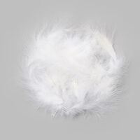 Witte veren